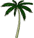 palm.gif (9847 bytes)